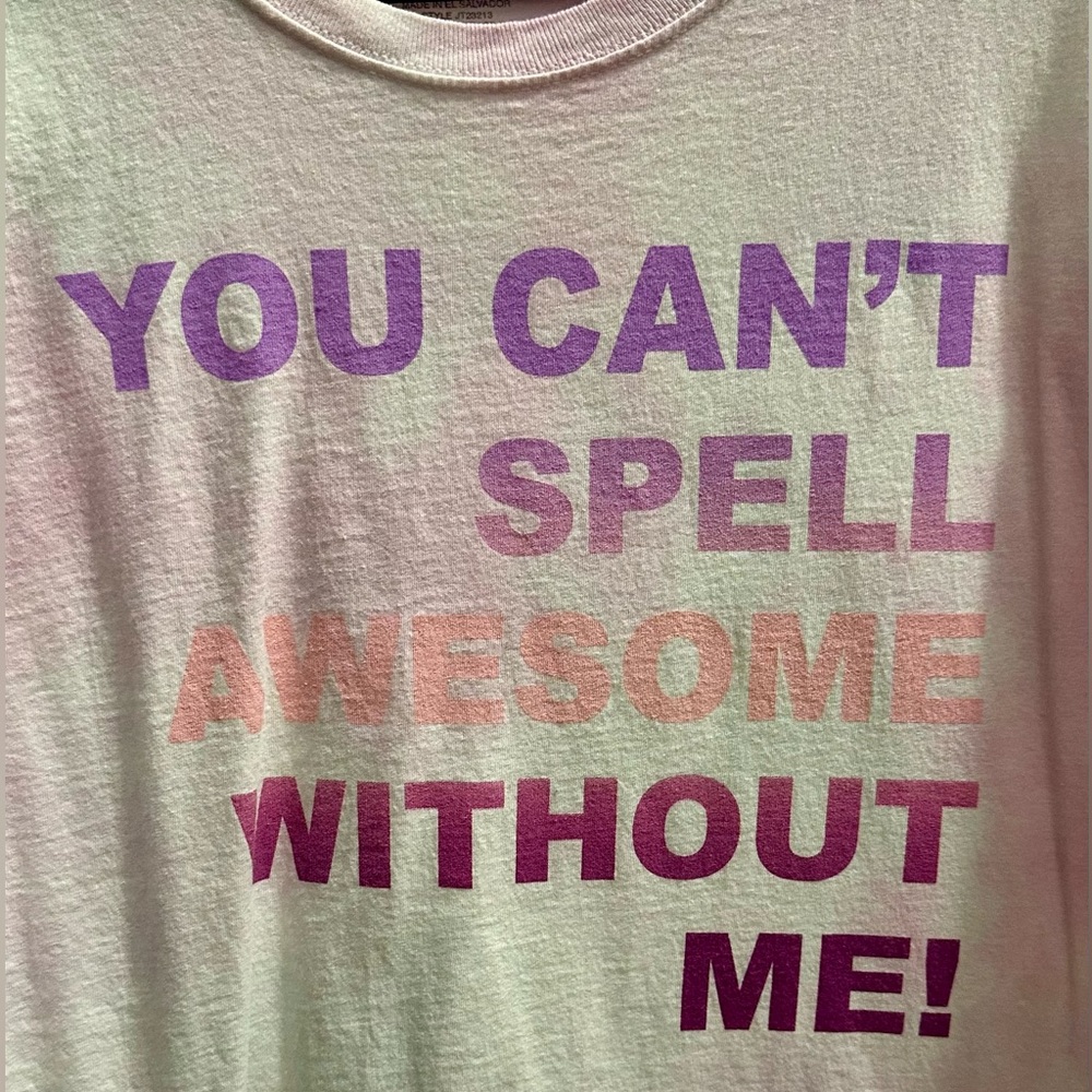 Taylor Swift Awesome ME Shirt